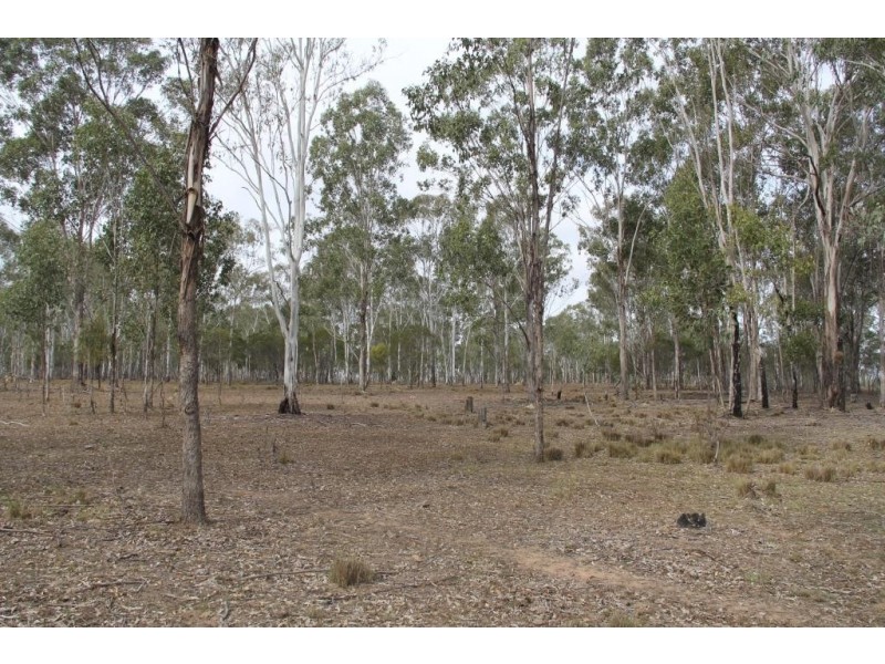 Wattle Camp QLD 4615