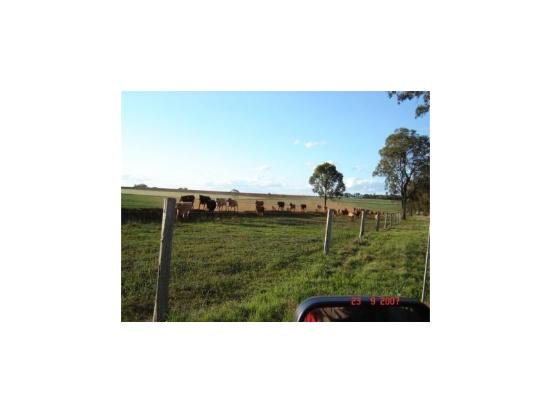 Kingaroy QLD 4610
