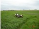 Kingaroy QLD 4610