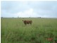 Kingaroy QLD 4610