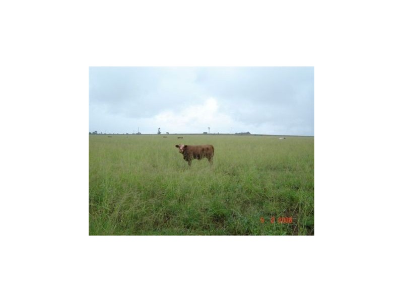 Kingaroy QLD 4610