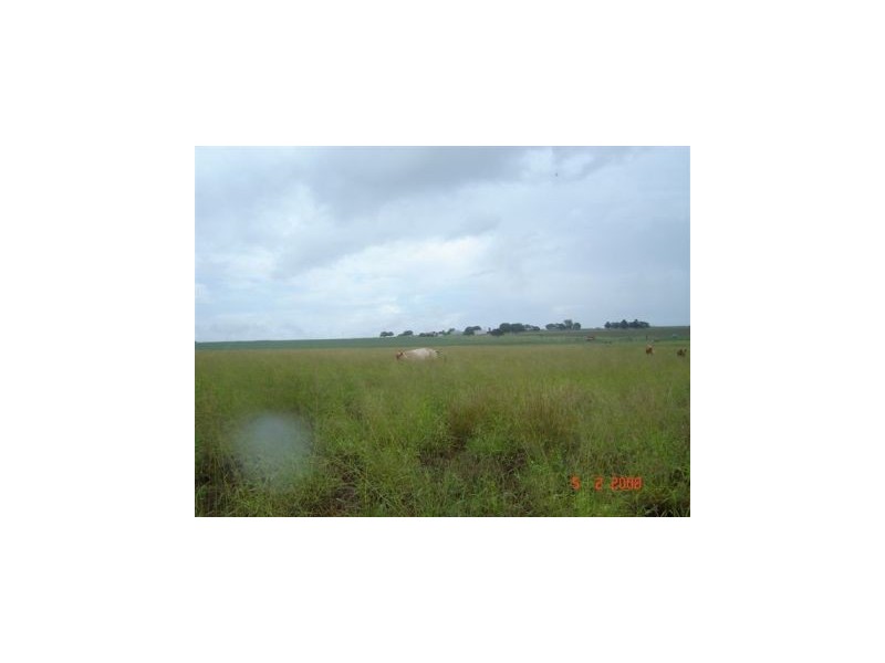 Kingaroy QLD 4610