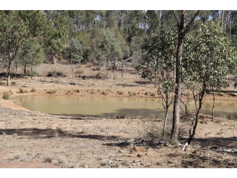 Lots 119 Goodger Gully Rd, Semgreens Rd, Kunioon Rd, Kunioon QLD 4615