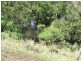 Wooroonden QLD 4605