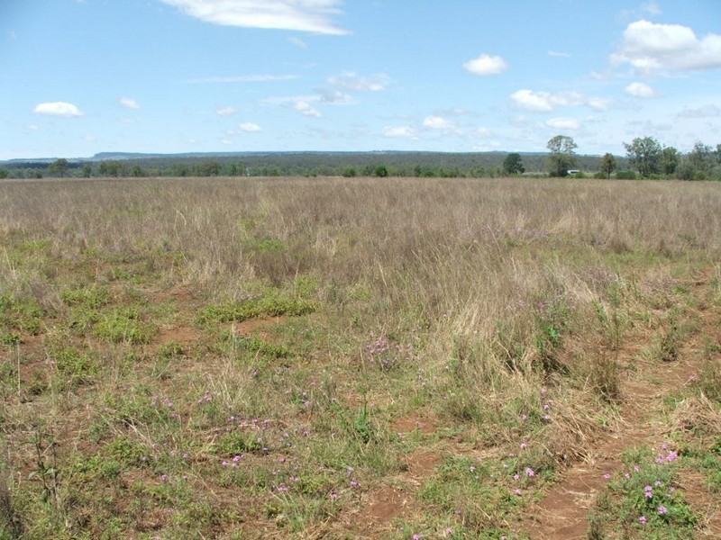Wooroonden QLD 4605