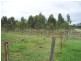 Wattle Grove QLD 4610