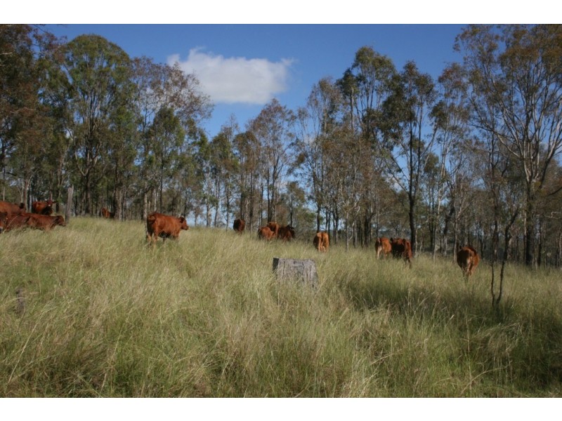 Nanango QLD 4615