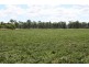 Wondai QLD 4606