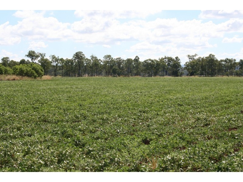 Wondai QLD 4606