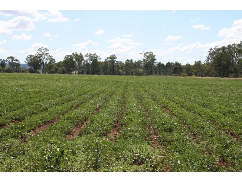 Wondai QLD 4606
