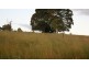 Manyung QLD 4601