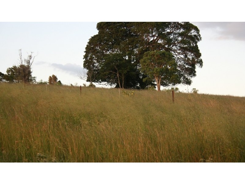 Manyung QLD 4601