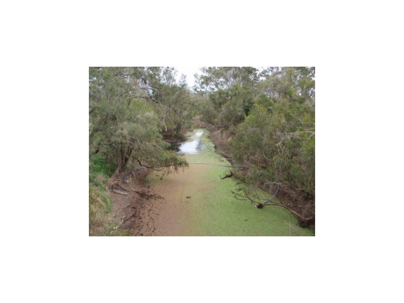 Wheatlands QLD 4606