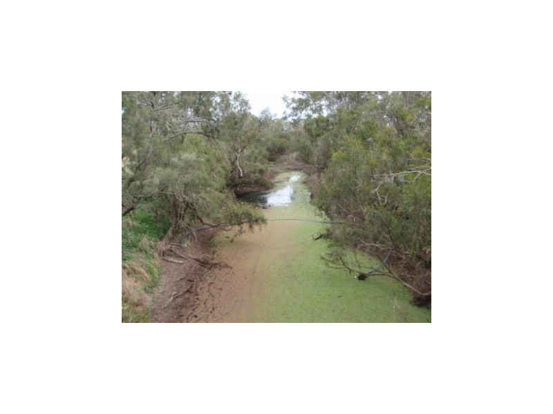 Wheatlands QLD 4606