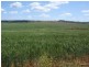 Kinleymore QLD 4613