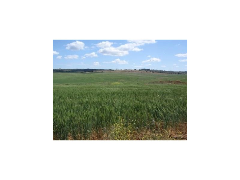 Kinleymore QLD 4613