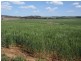 Kinleymore QLD 4613