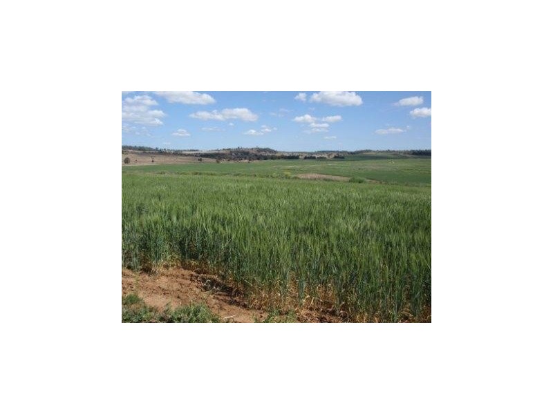 Kinleymore QLD 4613