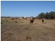Durong QLD 4610