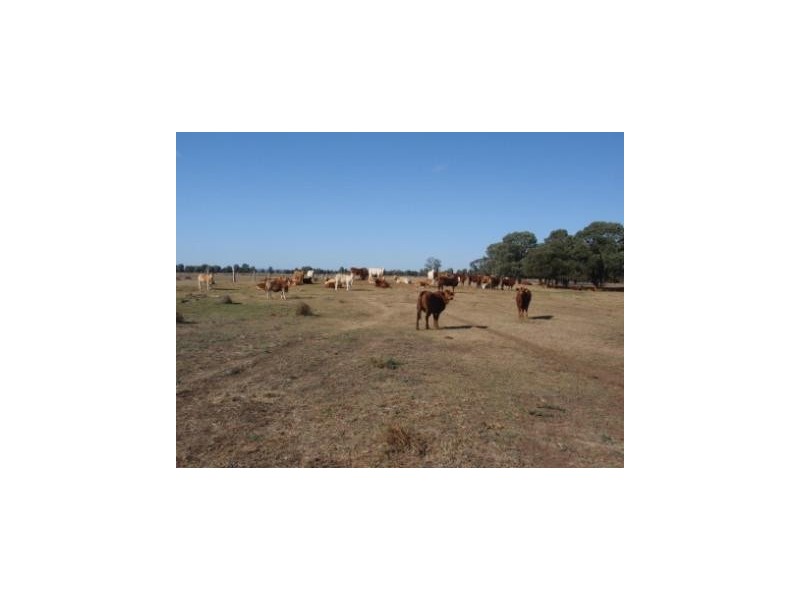 Durong QLD 4610