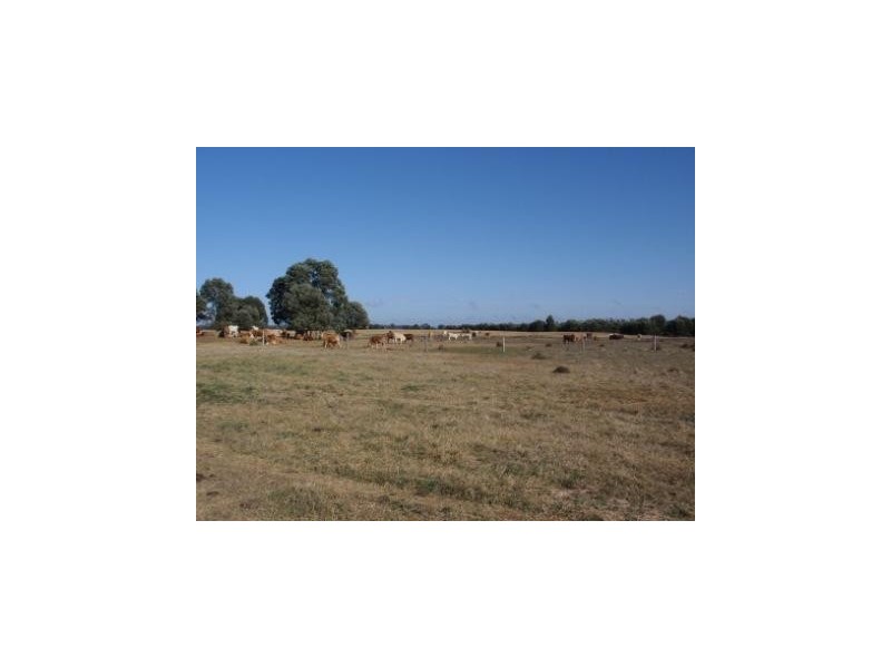 Durong QLD 4610