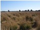 Durong QLD 4610