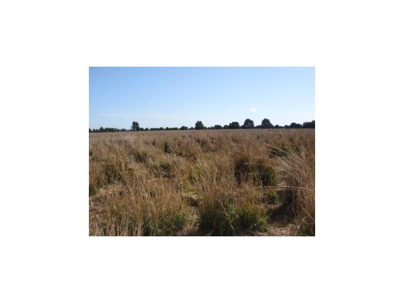 Durong QLD 4610