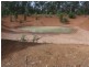Blackbutt QLD 4306