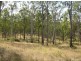 Wattle Camp QLD 4615