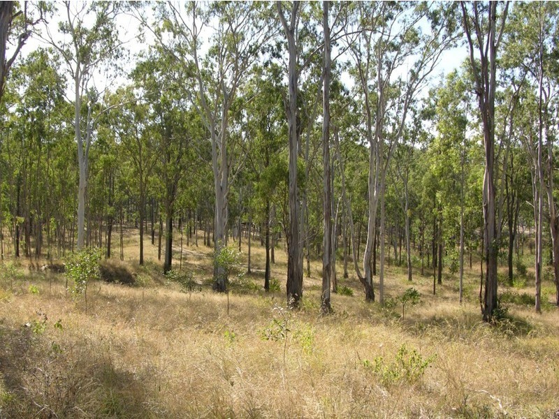 Wattle Camp QLD 4615