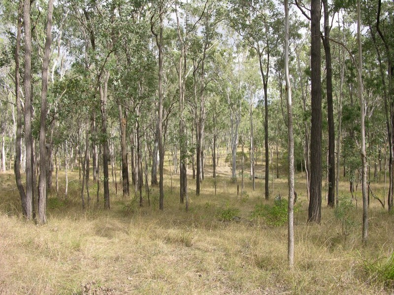 Wattle Camp QLD 4615