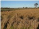 Nanango QLD 4615