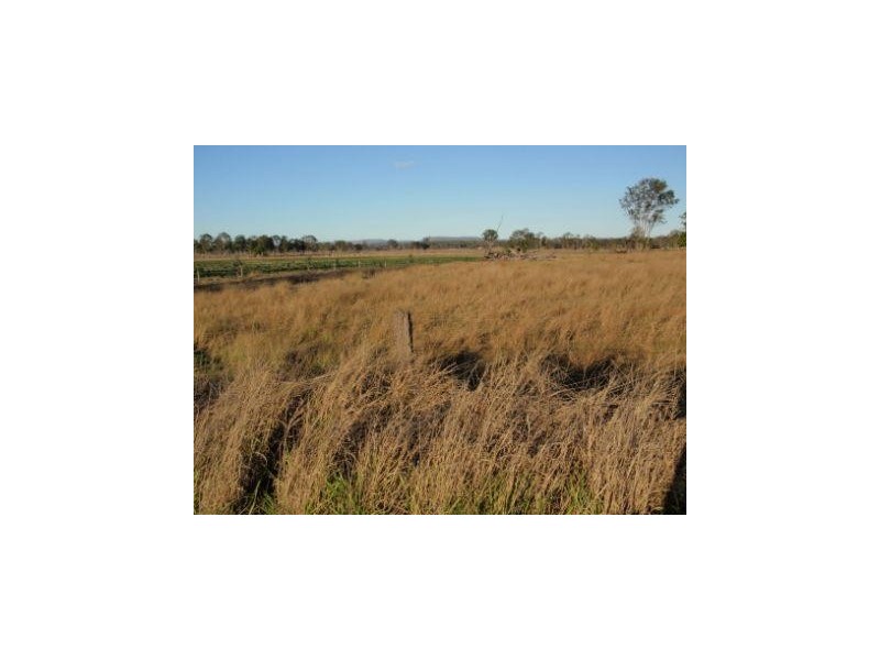 Nanango QLD 4615