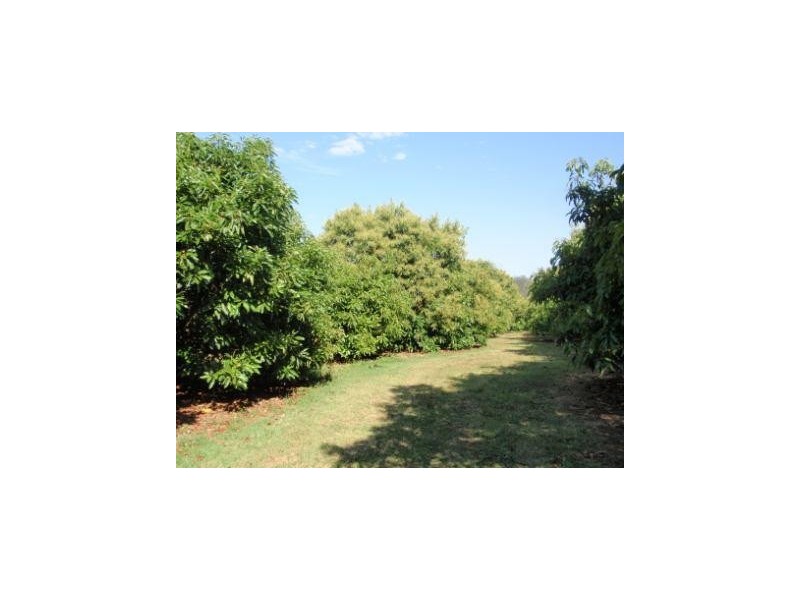 Blackbutt QLD 4306