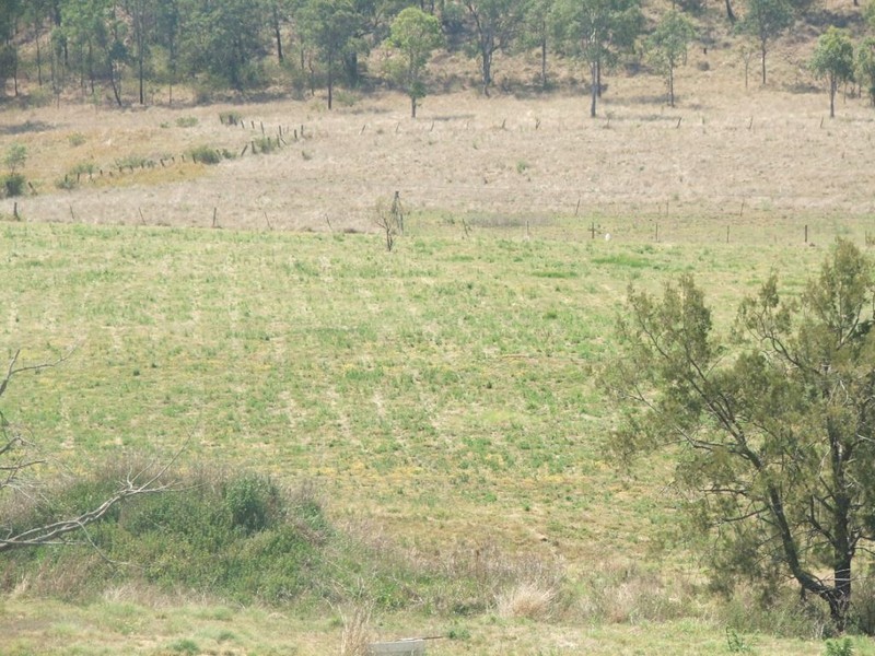 Ellesmere QLD 4610