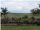 Kingaroy QLD 4610