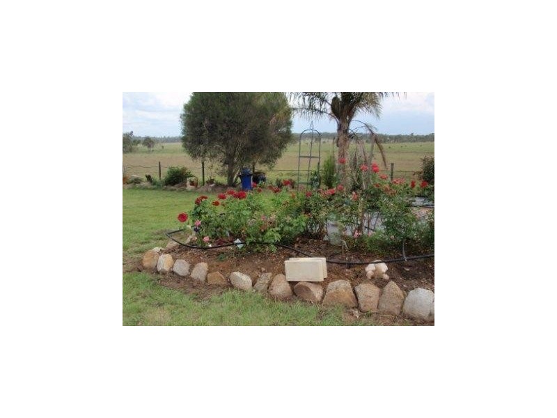 Kingaroy QLD 4610