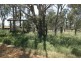 Kingaroy QLD 4610