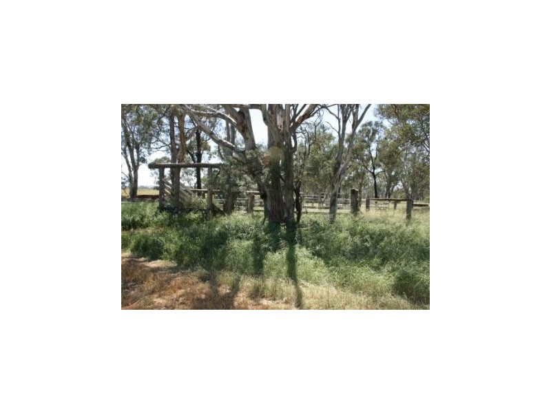 Kingaroy QLD 4610