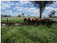 Hawkwood QLD 4626