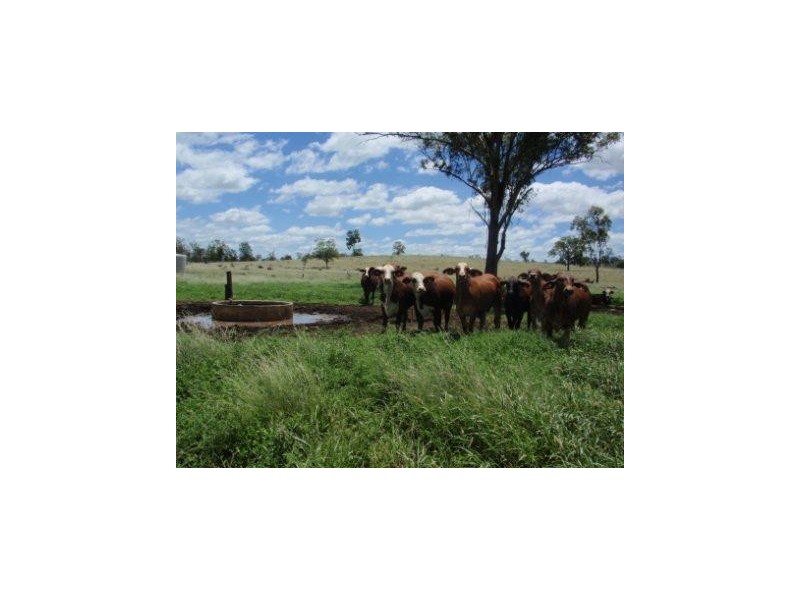Hawkwood QLD 4626