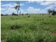 Hawkwood QLD 4626