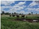 Hawkwood QLD 4626