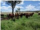 Hawkwood QLD 4626