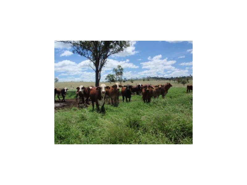 Hawkwood QLD 4626