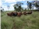 Hawkwood QLD 4626