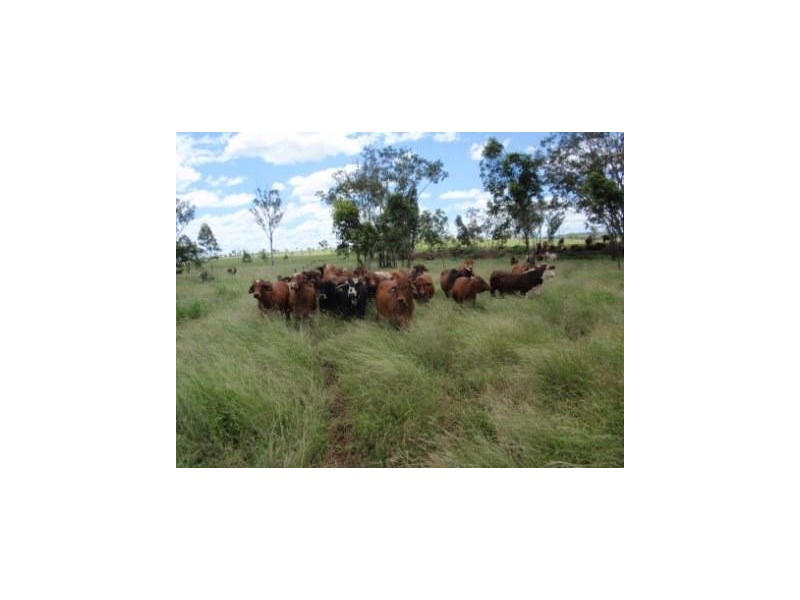 Hawkwood QLD 4626