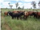 Hawkwood QLD 4626