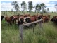 Hawkwood QLD 4626