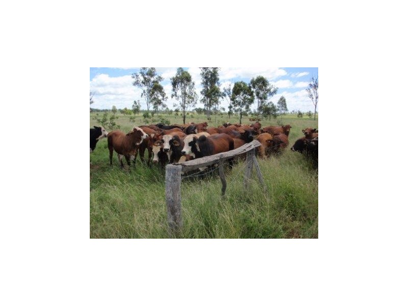 Hawkwood QLD 4626